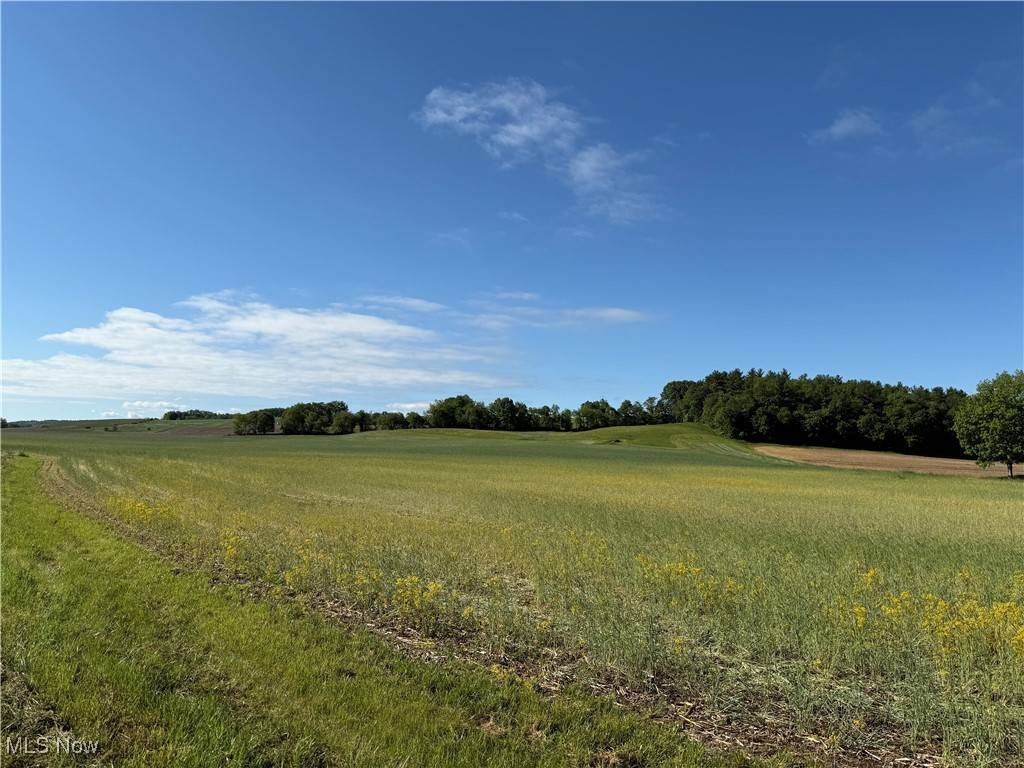 West Lafayette, OH 43845,Township Road 154