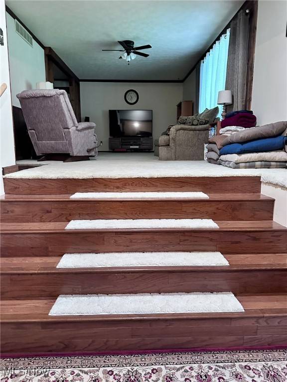 Parkersburg, WV 26101,5 South Lake DR