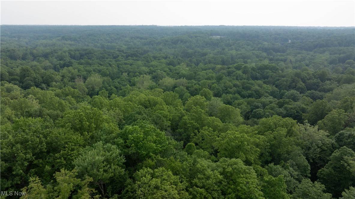 Gates Mills, OH 44040,Chagrin River RD