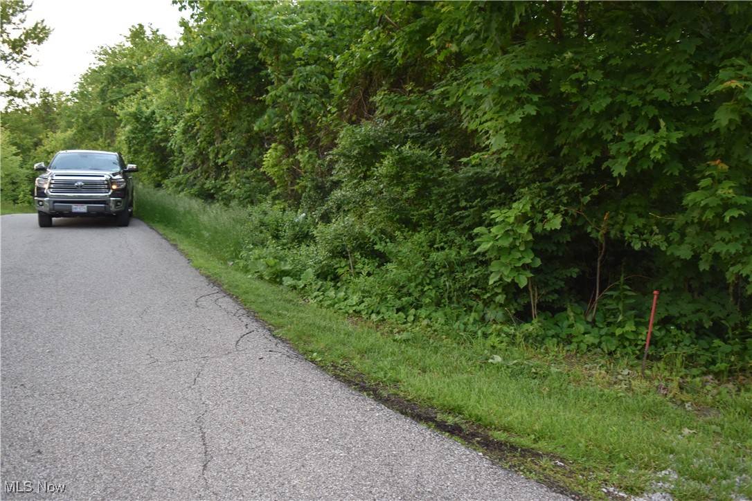 Bellaire, OH 43906,0 Riggs RD