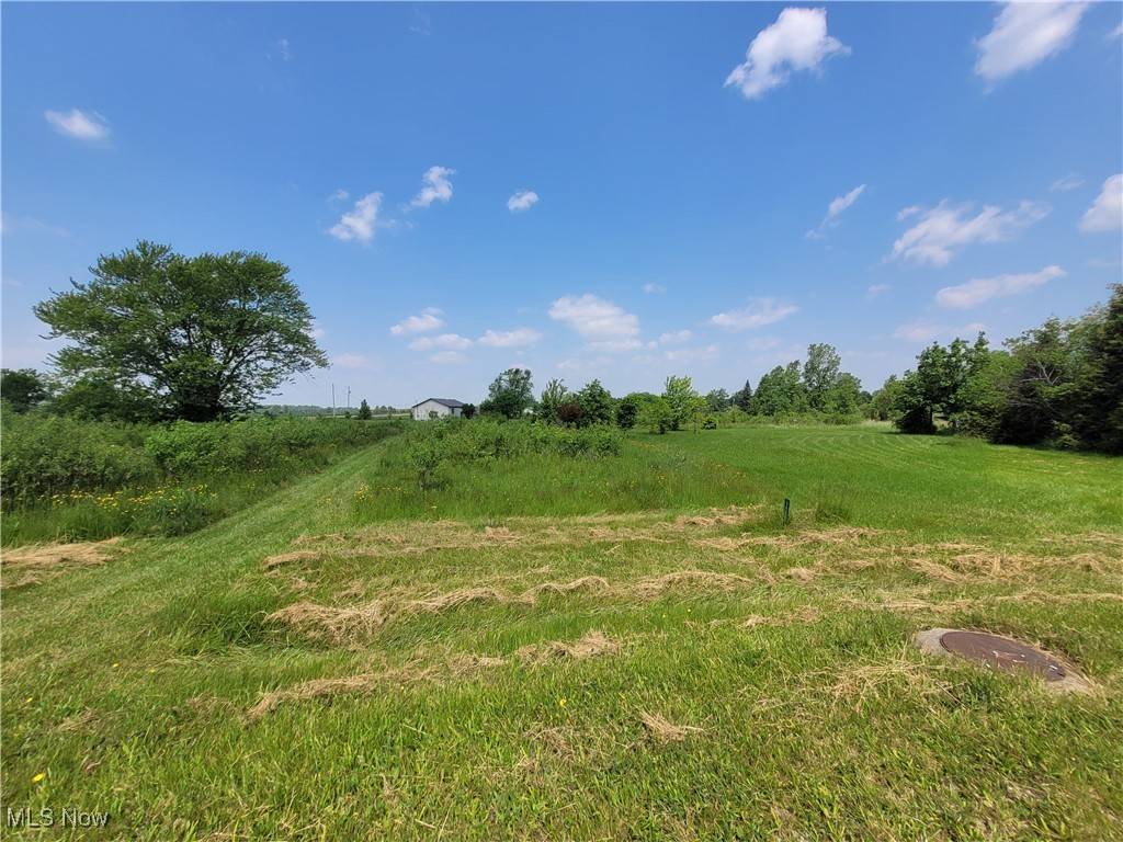 West Salem, OH 44287,1503 Carum PL