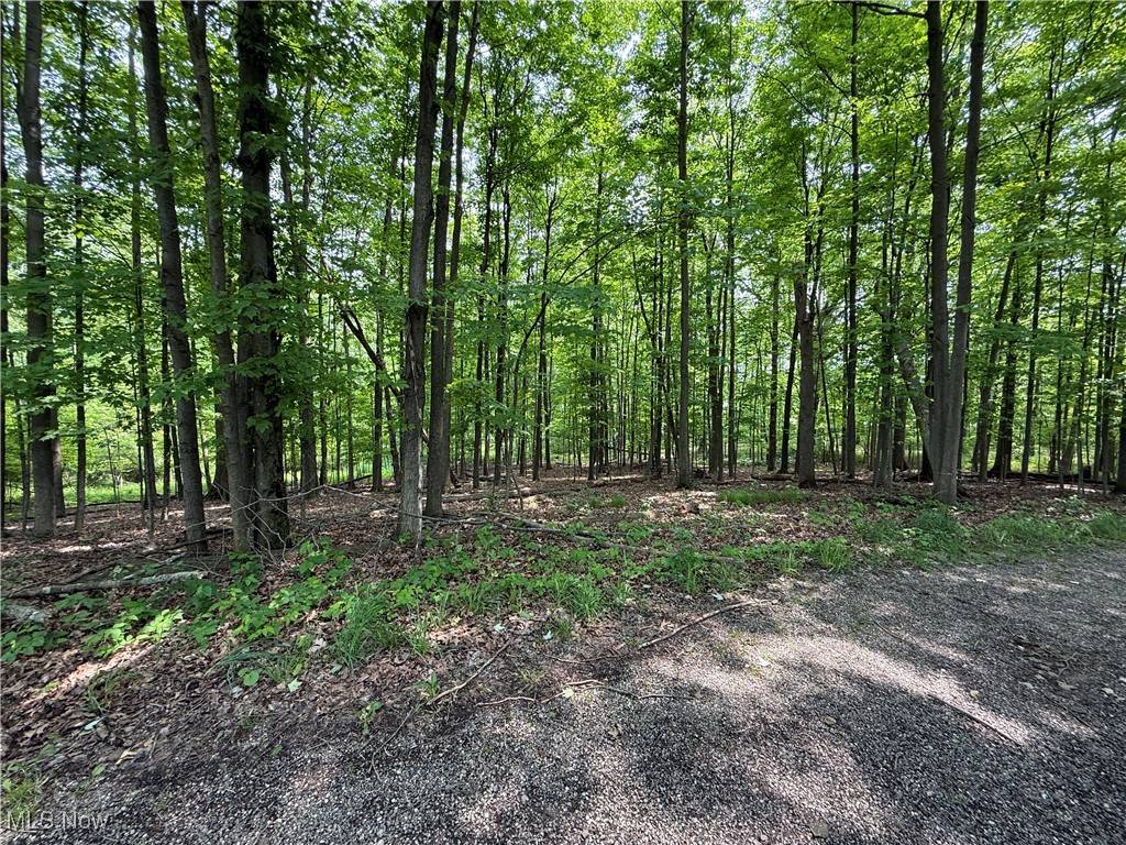 Alliance, OH 44601,Snode ST NE