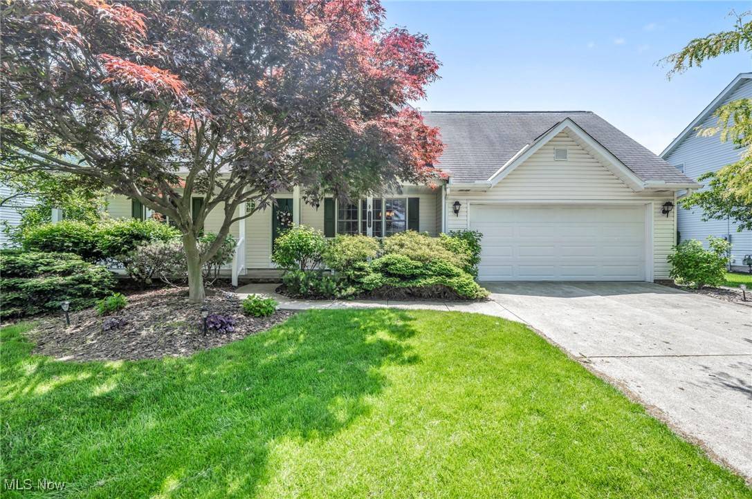 Medina, OH 44256,5166 Sassafras DR