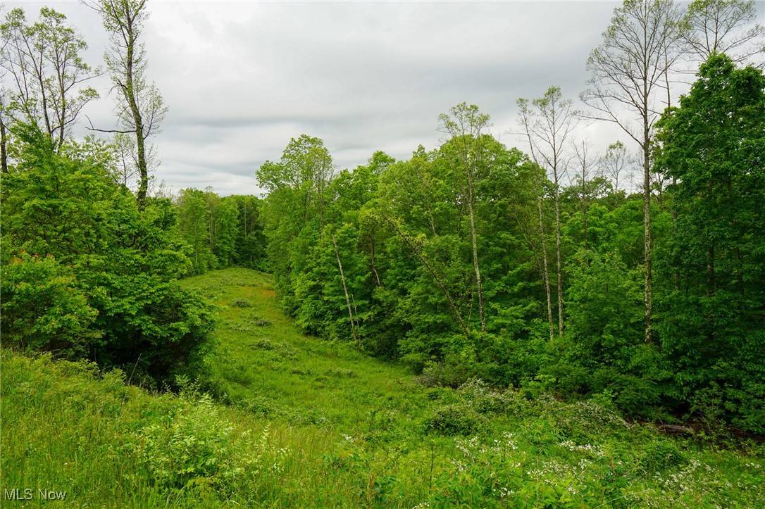 Woodsfield, OH 43793,Township Rd 460