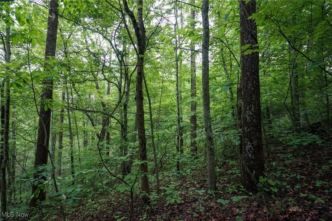 Woodsfield, OH 43793,Township Rd 460