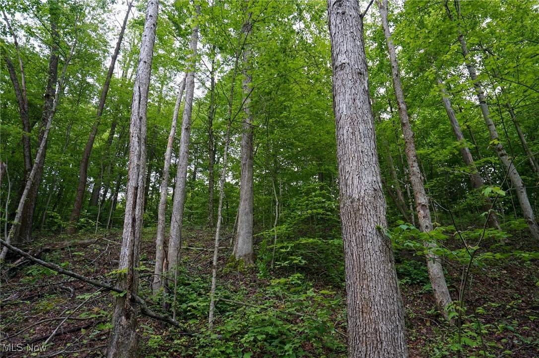 Woodsfield, OH 43793,Township Rd 460