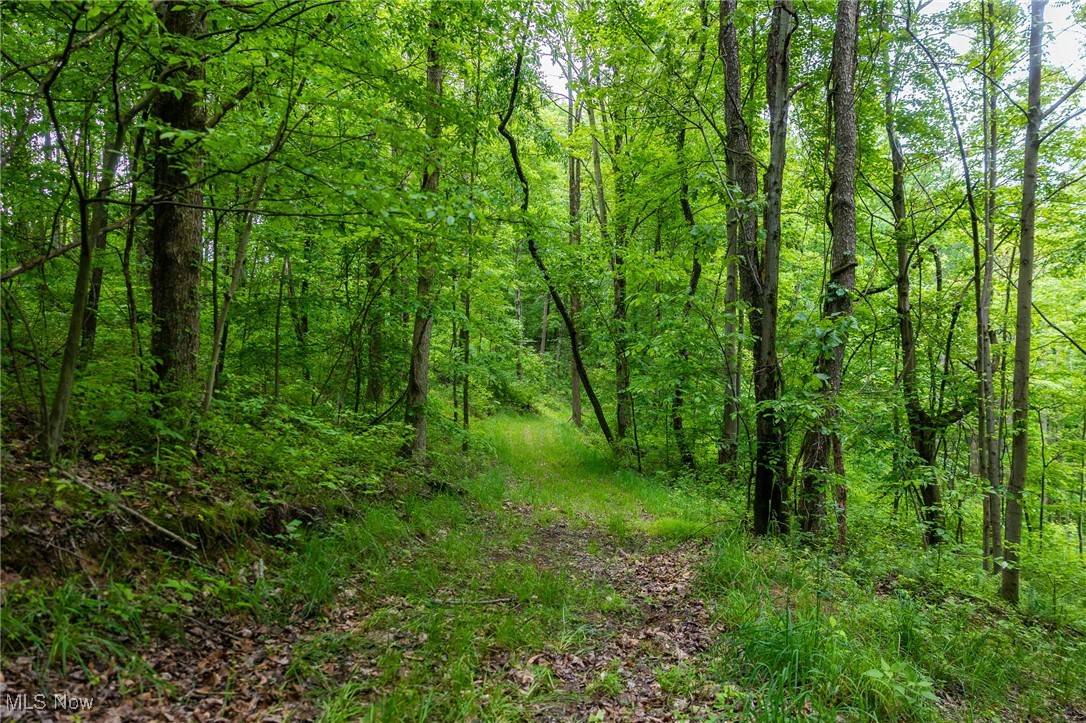 Newcomerstown, OH 43832,Johnson Hill RD
