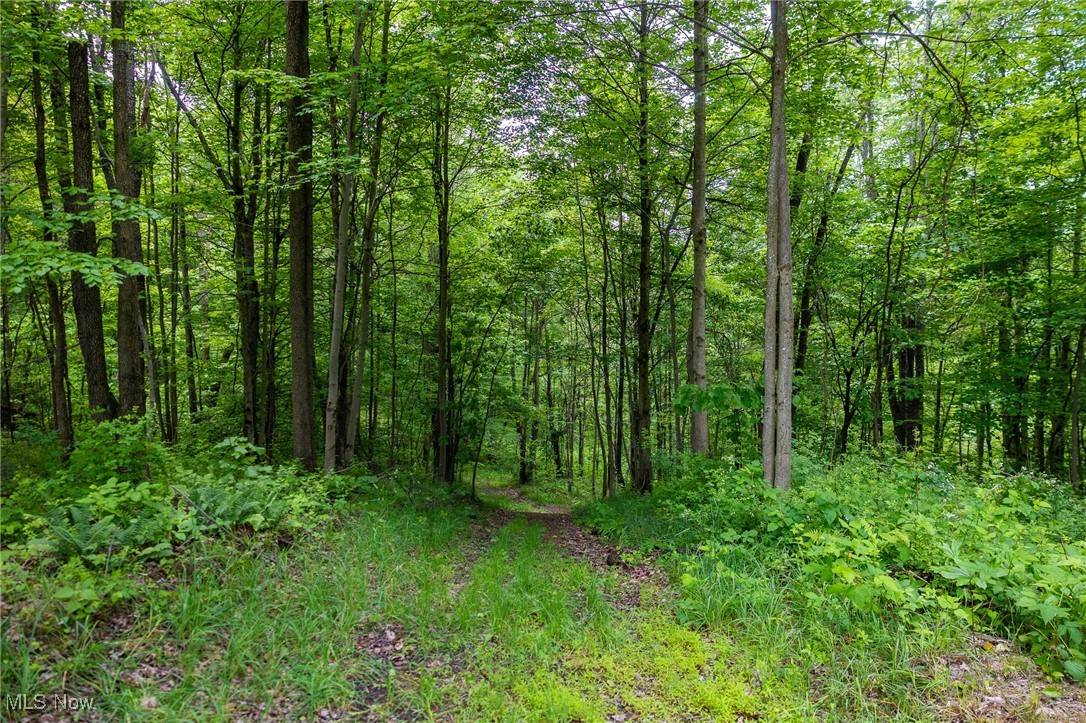 Newcomerstown, OH 43832,Johnson Hill RD