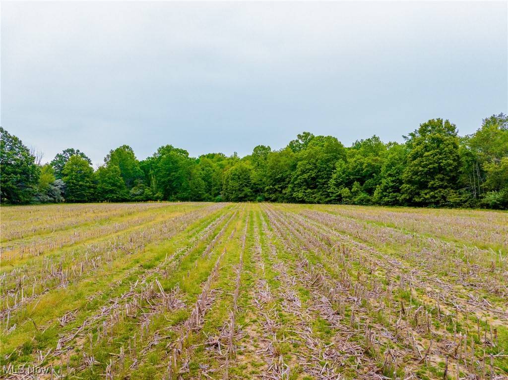 Sullivan, OH 44880,195 County Road 681