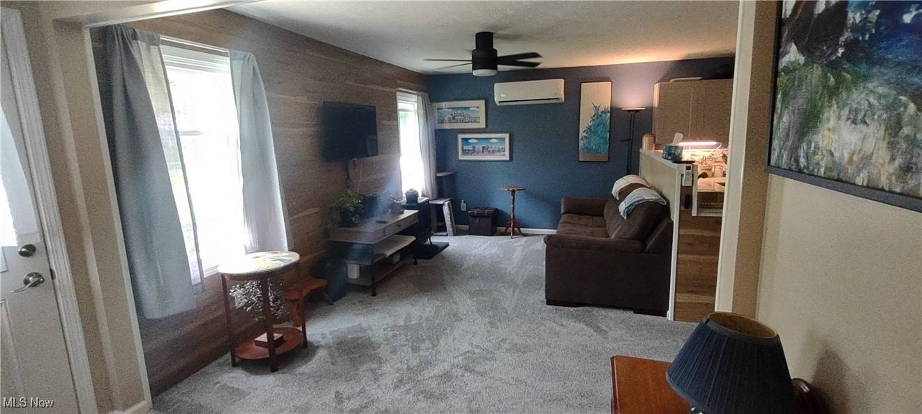 Conneaut, OH 44030,7816 Cleveland DR