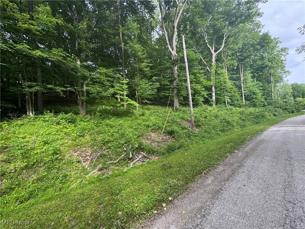 Millersburg, OH 44654,Ruswil DR