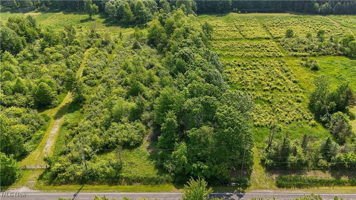 Painesville, OH 44077,Brakeman RD