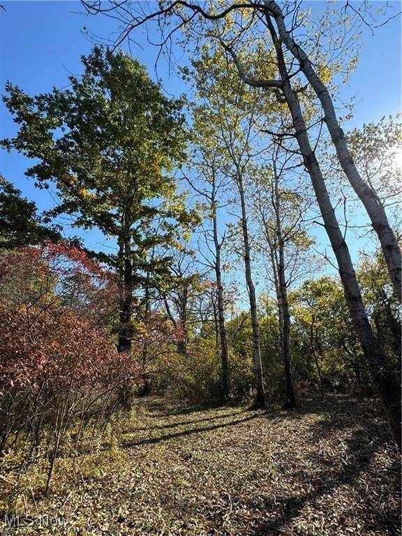 Chardon, OH 44024,12056 Old State RD
