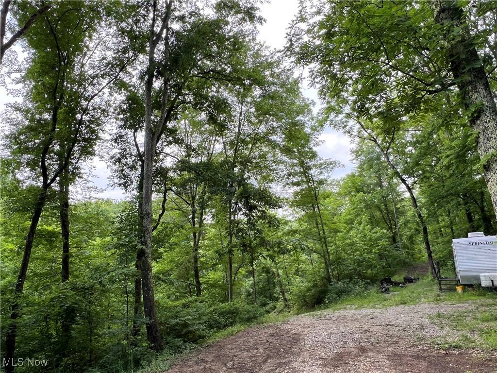 Philo, OH 43771,1565 Back Run RD