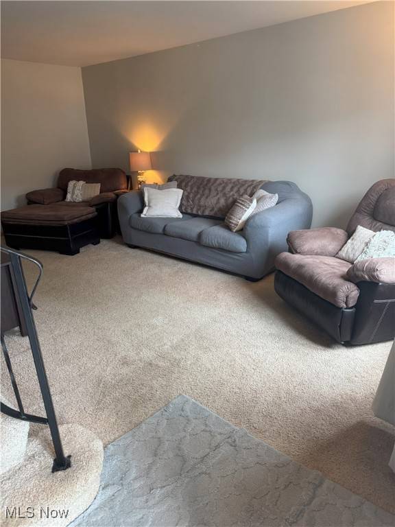 Mayfield Heights, OH 44124,110 Gaslight LN