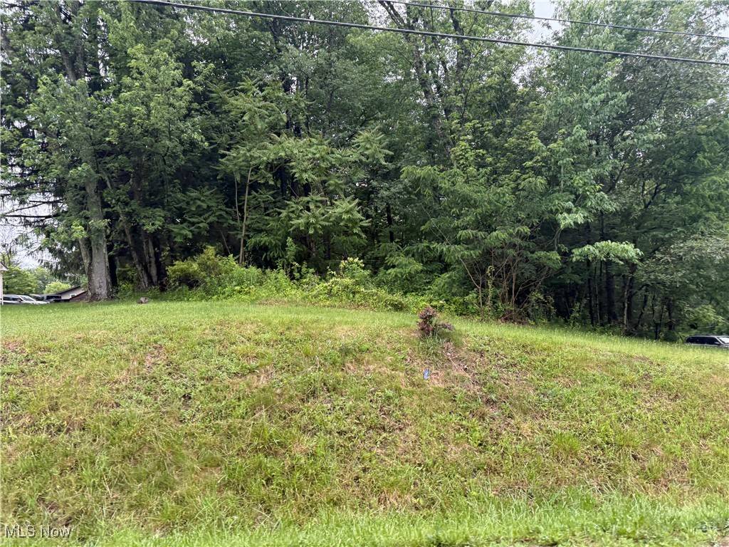 Wellsville, OH 43968,Hillcrest RD