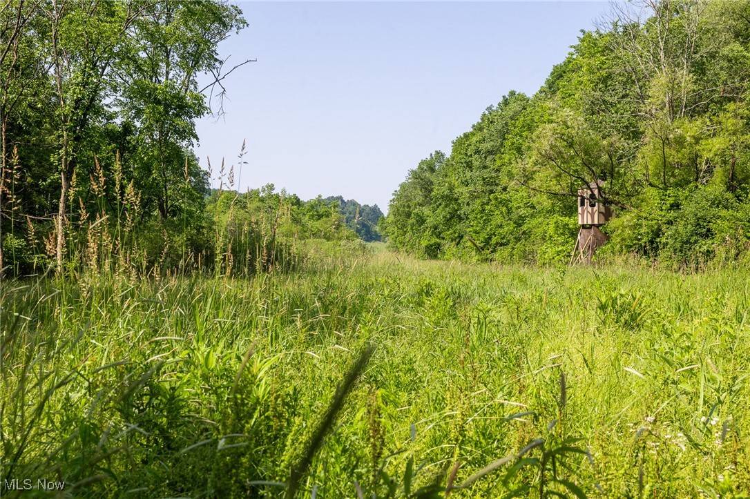 Dennison, OH 44620,Azalea RD
