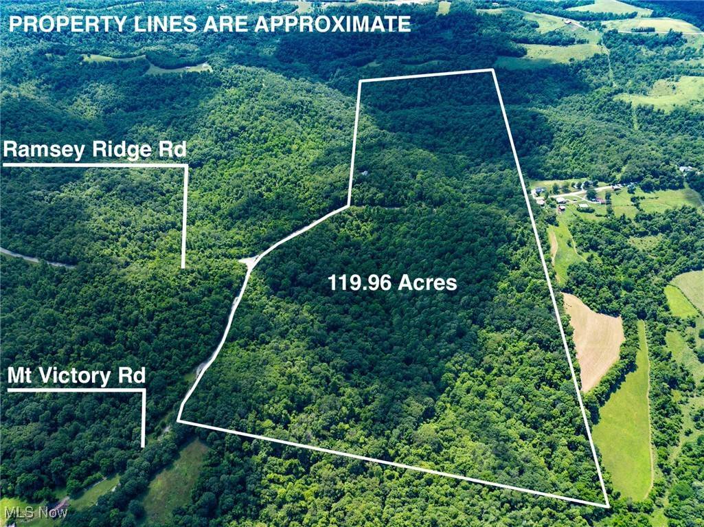Jacobsburg, OH 43933,59900 Ramsey Ridge RD