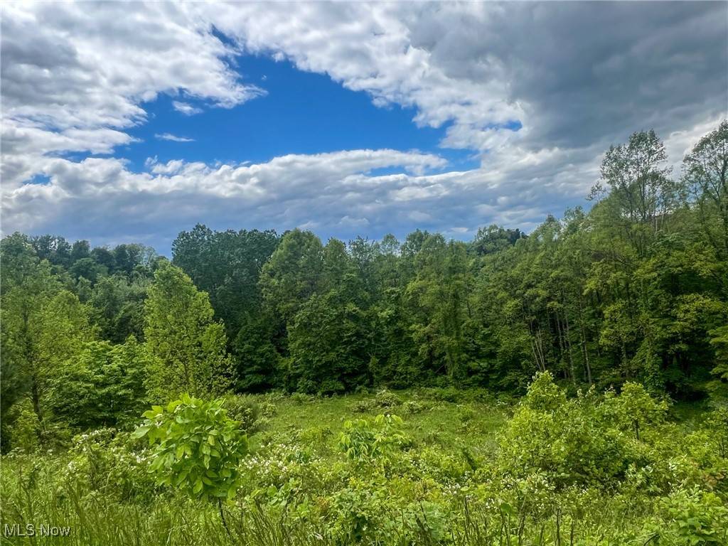 Clarington, OH 43915,0 Green Hill RD