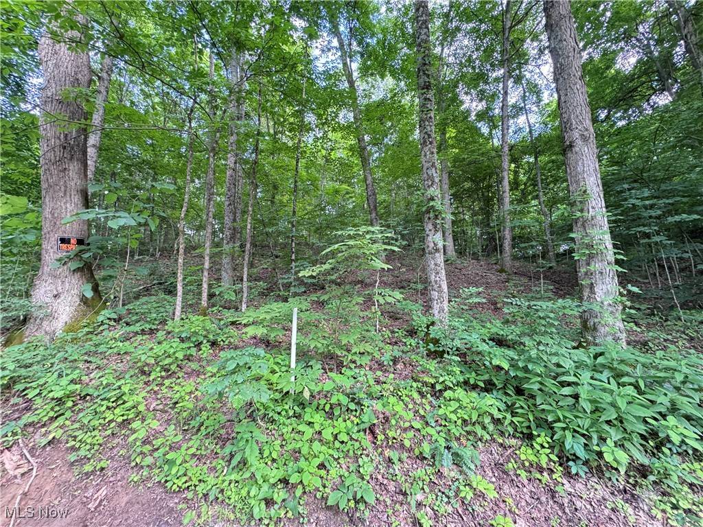 Caldwell, OH 43724,50530 Wargo RD