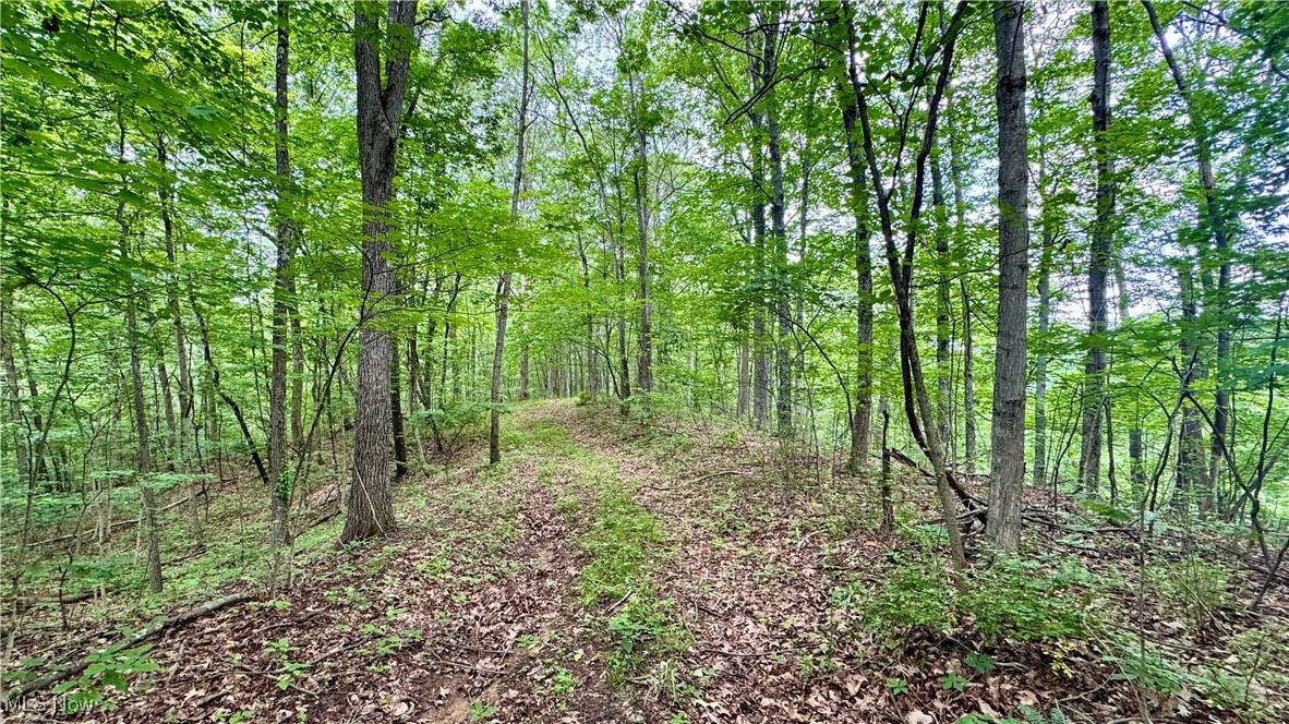 Pleasant City, OH 43772,Noble Hill Rd