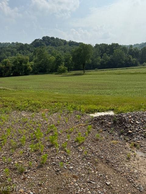 Gnadenhutten, OH 43837,Frys Valley RD SW