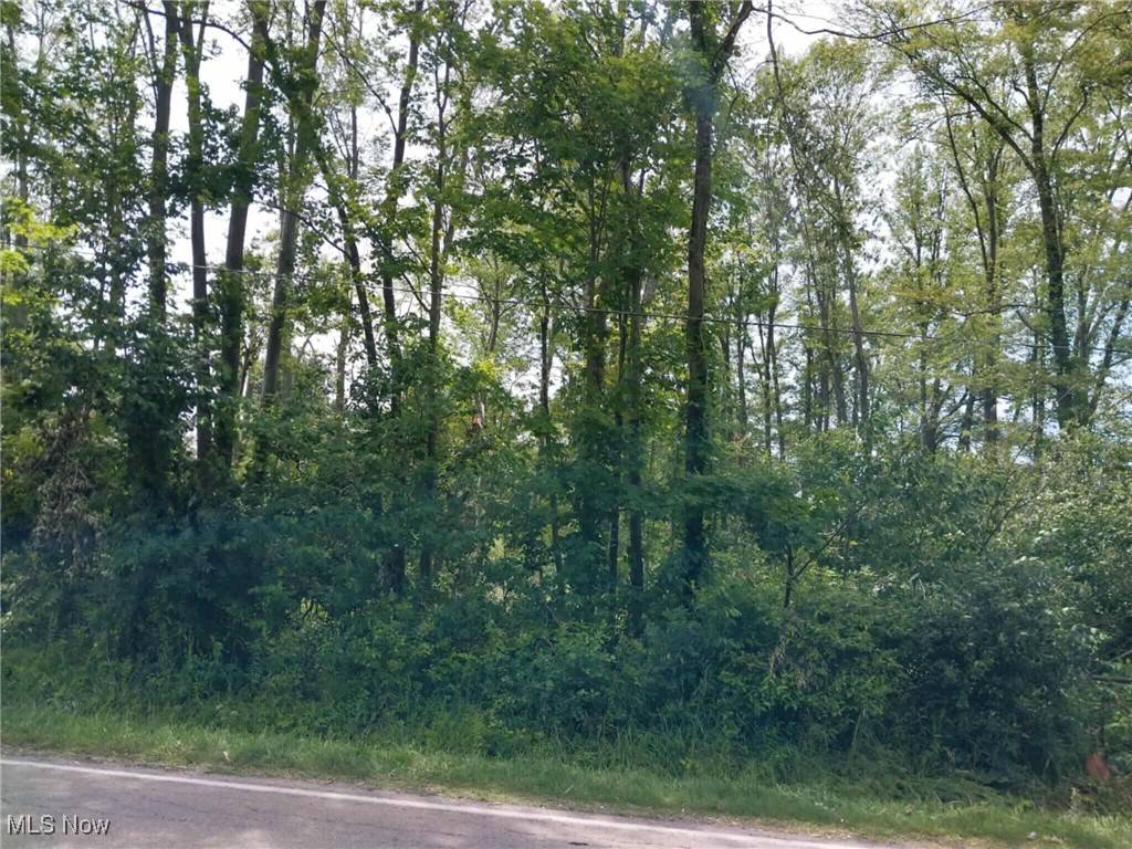 Oberlin, OH 44074,12466 Quarry RD