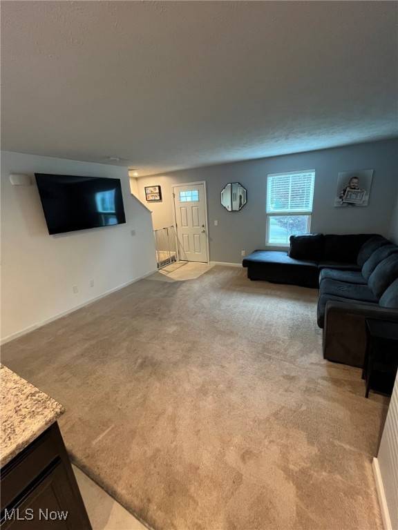 Akron, OH 44312,268 Karson DR
