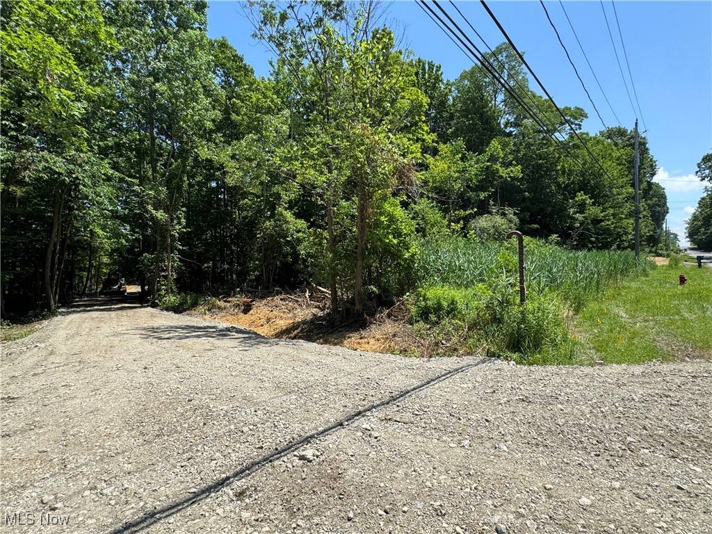 Madison, OH 44057,V/L 2 Wood RD