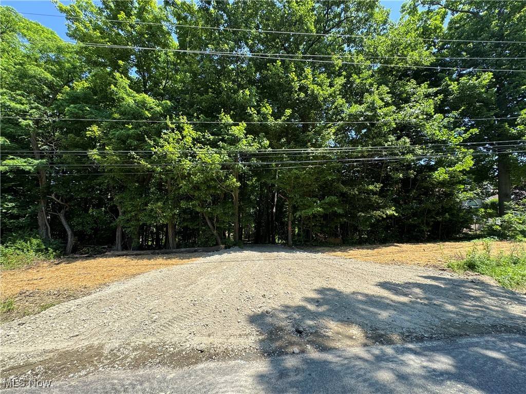 Madison, OH 44057,V/L 3 Wood RD