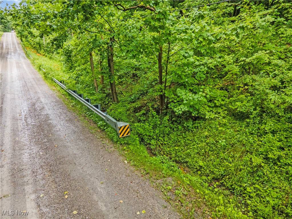 Thompson, OH 44086,Sidley RD