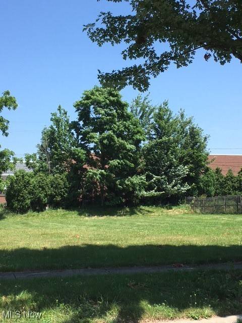 Lyndhurst, OH 44124,V/L Case AVE