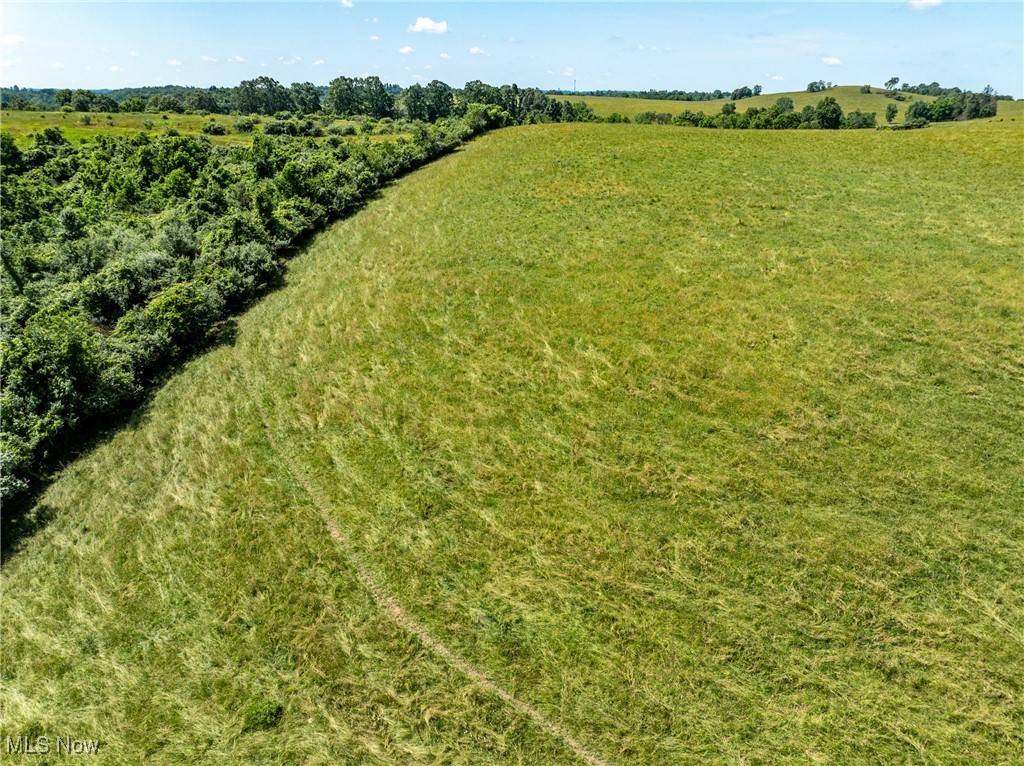 Belmont, OH 43718,12 acres Saffell RD