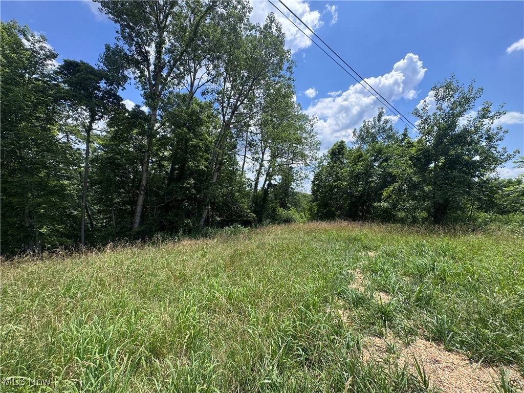 Stockport, OH 43787,Point Lookout RD