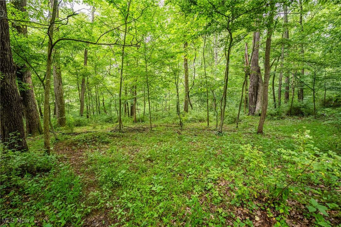 Holmesville, OH 44633,6991 Township Road 555