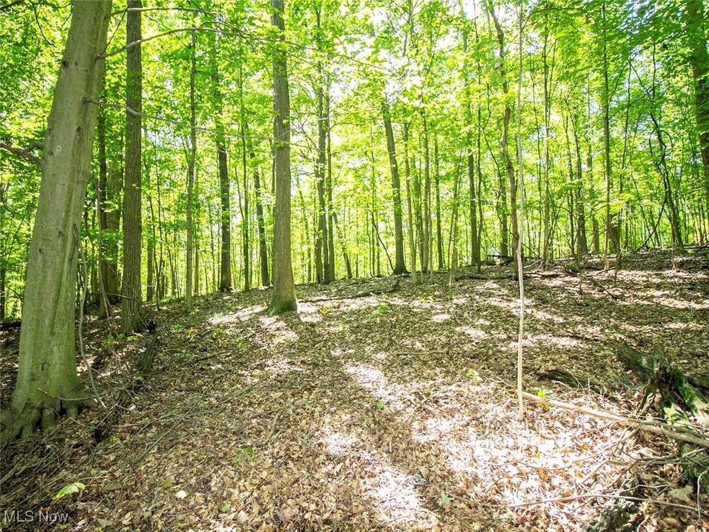 Bellville, OH 44813,Mishey RD