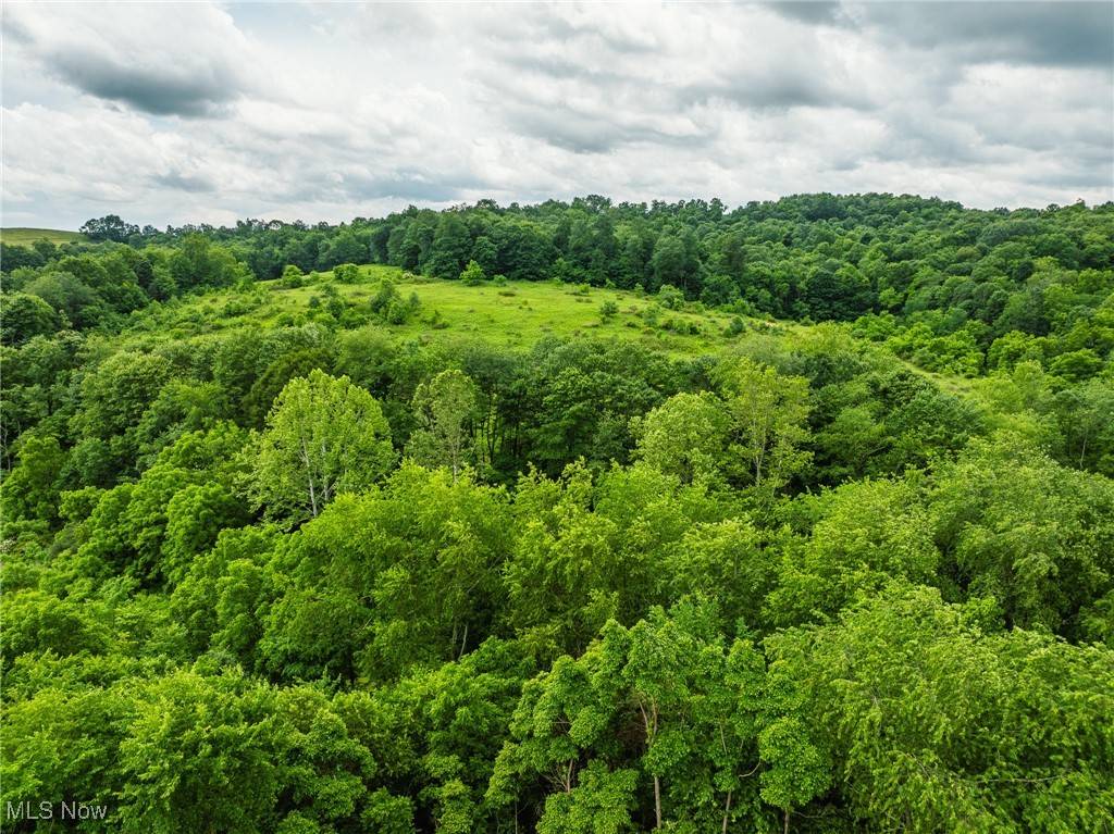 Fresno, OH 43824,Township Road 219