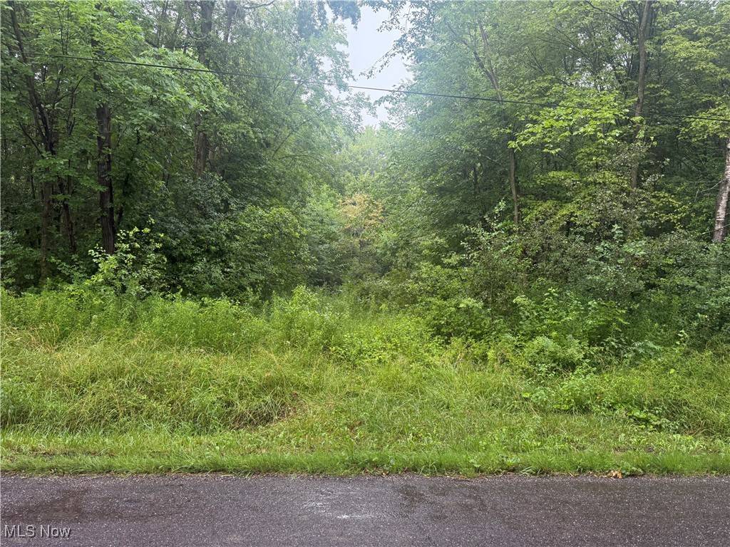 Bristolville, OH 44402,Mahan Denman RD NE