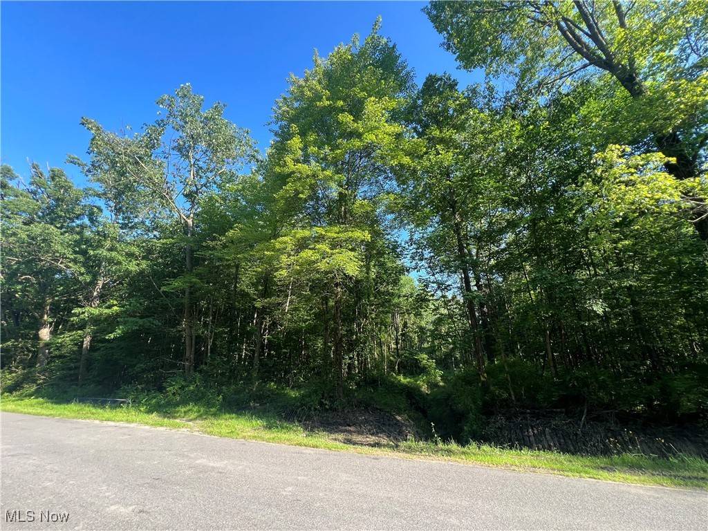 Andover, OH 44003,Gibbs RD