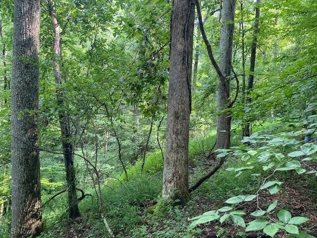 Spencer, WV 25276,Boggs Fork RD
