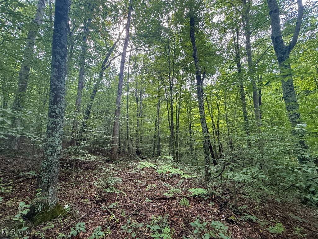 Shawnee, OH 43782,Twp Rd 273
