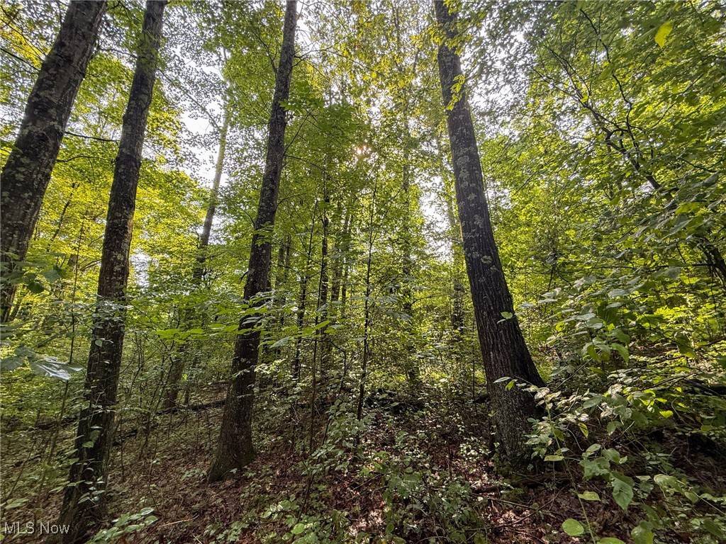 Shawnee, OH 43782,Twp Rd 273