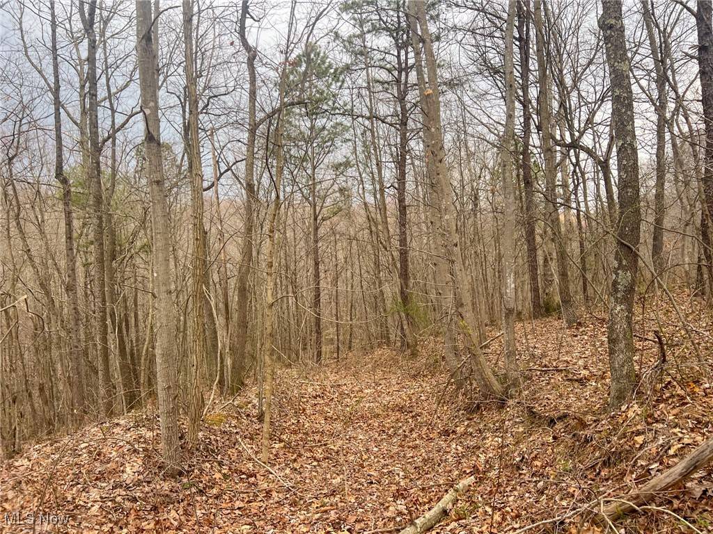 Ray, OH 45672,Ponetown Rd