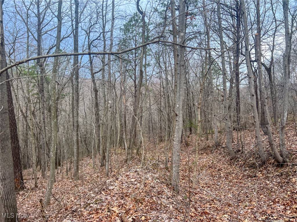 Ray, OH 45672,Ponetown Rd