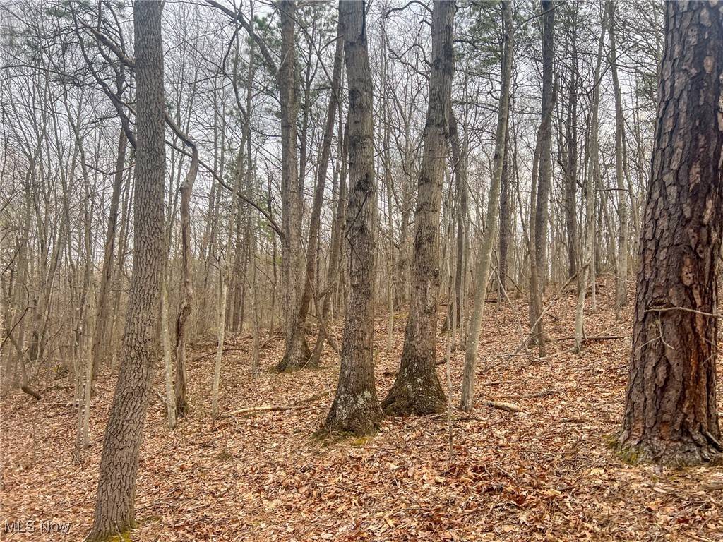 Ray, OH 45672,Ponetown Rd
