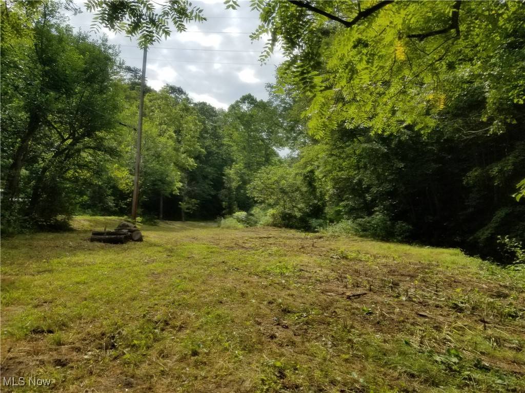 Rayland, OH 43943,3209 Township Road 156