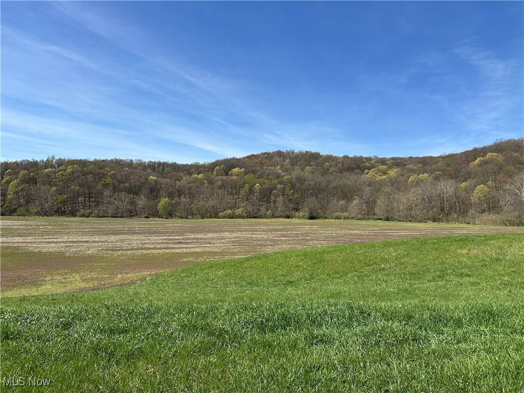 Killbuck, OH 44637,3882 Lot 7 State Route 60