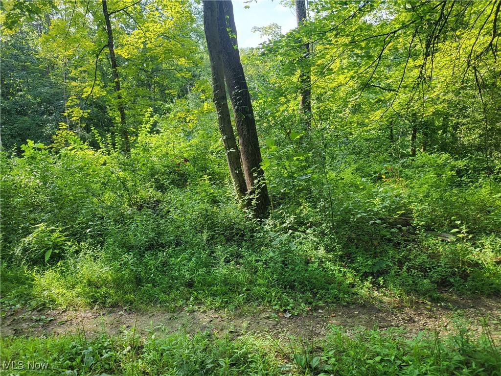Mcconnelsville, OH 43756,5855 Olney Run RD