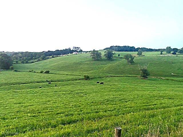 Belmont, OH 43718,Barkcamp