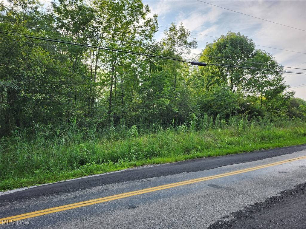 Lake Milton, OH 44429,County Line RD